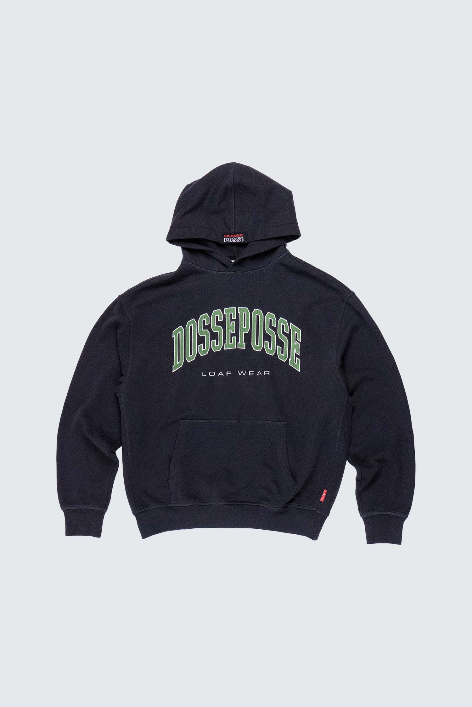 VARSITY EMBROIDERY HOODED SWEATSHIRT