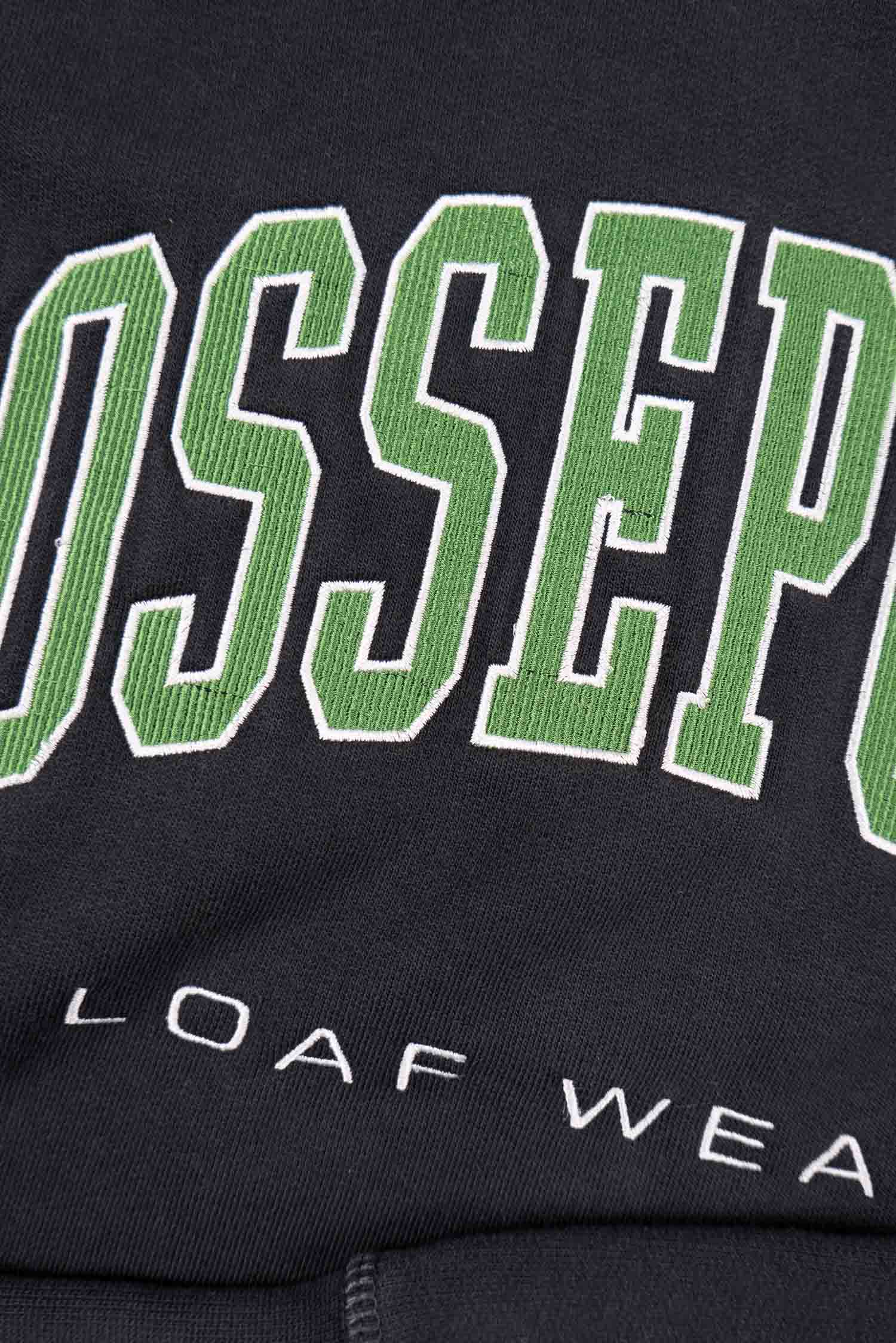 VARSITY EMBROIDERY HOODED SWEATSHIRT