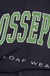 VARSITY EMBROIDERY HOODED SWEATSHIRT
